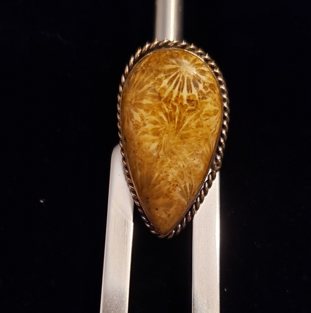 NWOT Fossilized Coral Ring, Handmade By Artisans, Polished Honey Gold, Sz. 8 - Picture 3 of 6